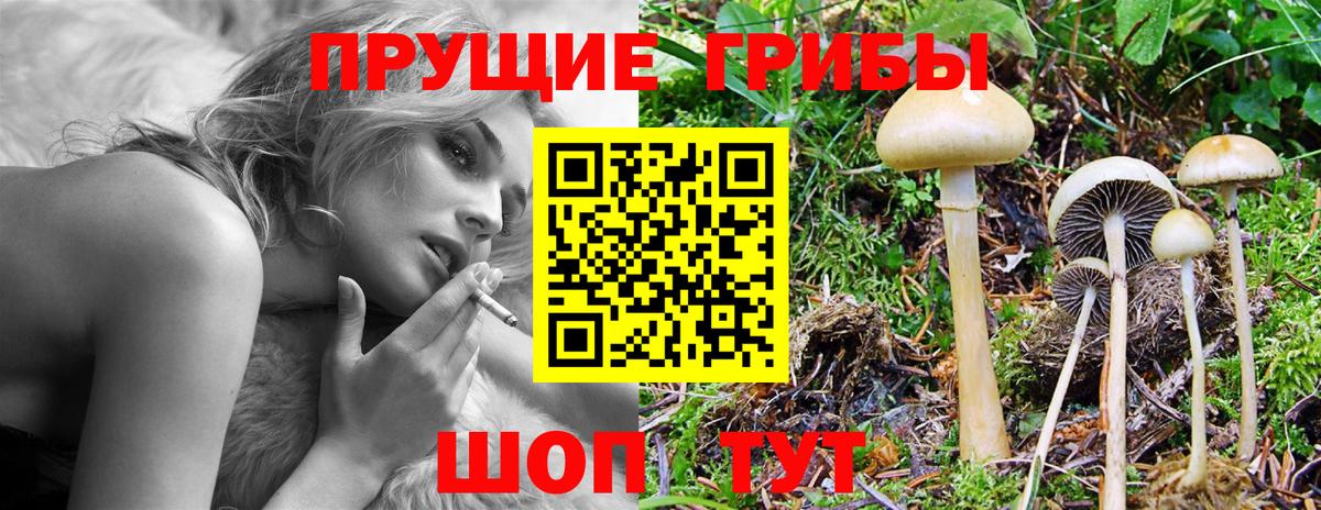 наркошоп  Вход с VPN  Уссурийск  Псилоцибиновые грибы мухоморы 