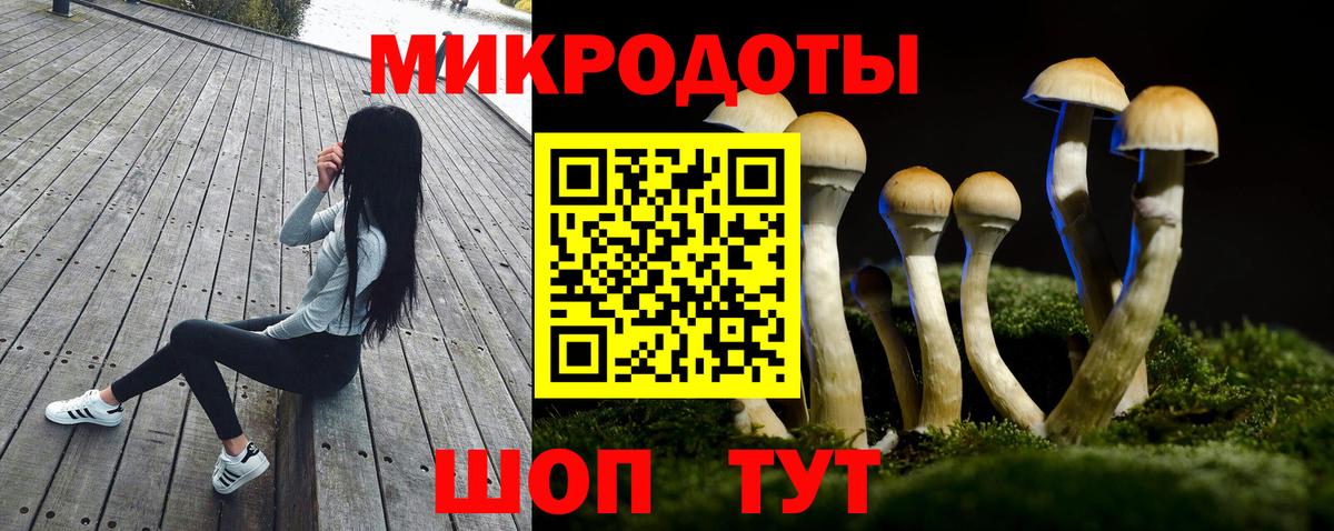 Галлюциногенные грибы Cubensis Уссурийск